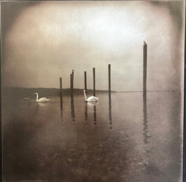 OM - CONFERENCE OF THE BIRDS