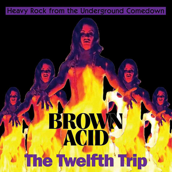 VARIOUS ARTISTS - BROWN ACID: THE TWELFTH TRIP