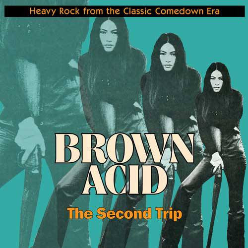 VARIOUS ARTISTS - BROWN ACID: THE SECOND TRIP