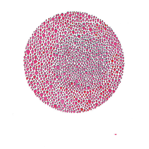 BROWN,JULIA - AN ABUNDANCE OF STRAWBERRIES