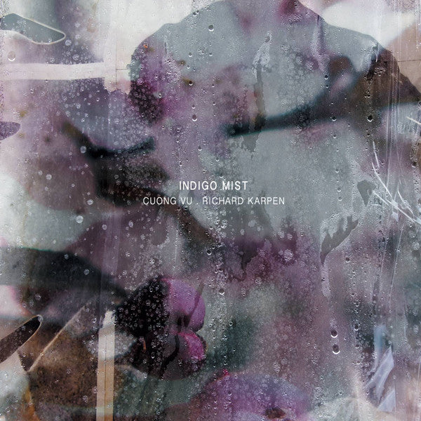 INDIGO MIST - THAT THE DAYS GO BY &