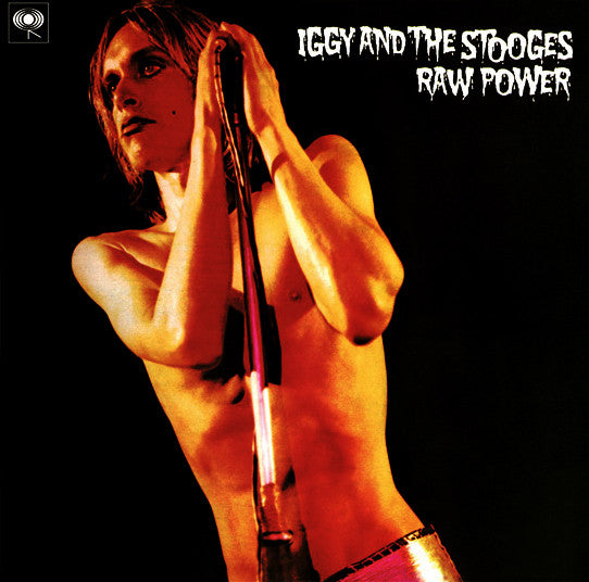 IGGY & THE STOOGES - RAW POWER (IGGY & BOWIE MIXES) (180G)