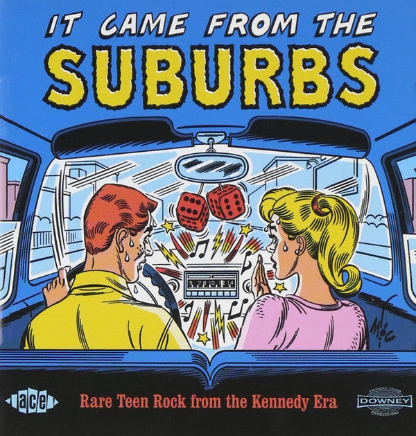VARIOUS ARTISTS - IT CAME FROM THE SUBURBS: RARE TEEN ROCK / VARIOUS
