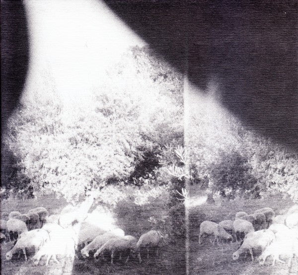 GODSPEED YOU BLACK EMPEROR - ASUNDER SWEET & OTHER DISTRESS