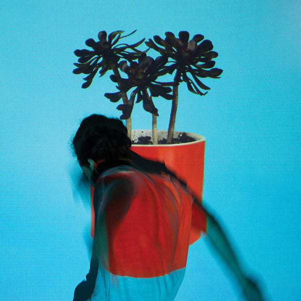 LOCAL NATIVES - SUNLIT YOUTH (150G/DL CARD)