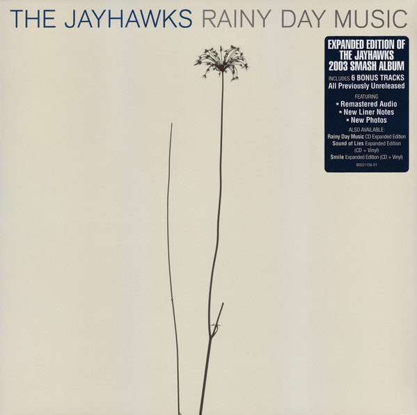 JAYHAWKS - RAINY DAY MUSIC