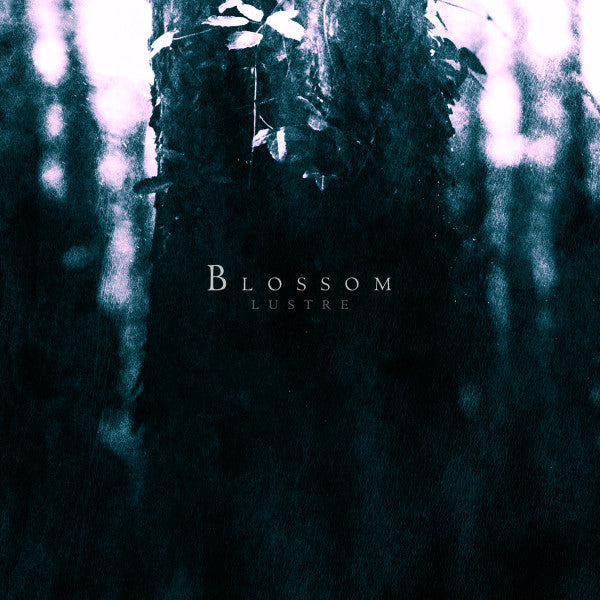 LUSTRE - BLOSSOM