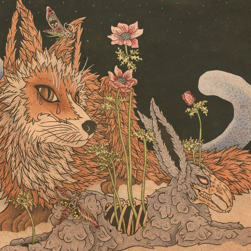 PLANES MISTAKEN FOR STARS - PREY