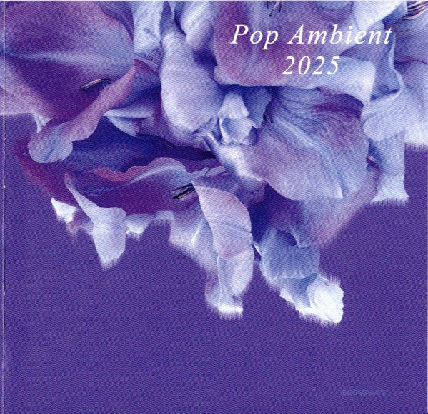 VARIOUS ARTISTS - POP AMBIENT 2025