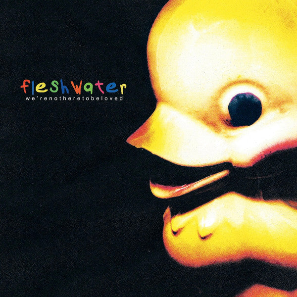 FLESHWATER - WE'RE NOT HERE TO BE LOVED