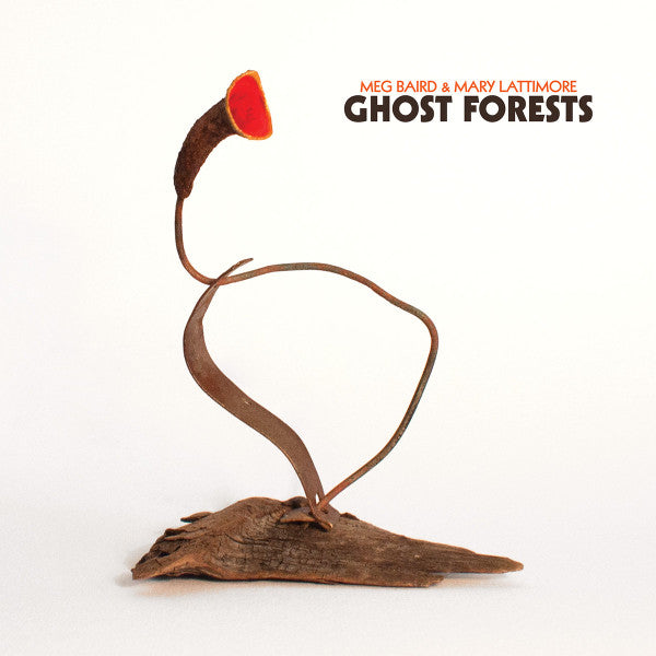 BAIRD,MEG & MARY LATTIMORE - GHOST FORESTS (JEWEL CASE)