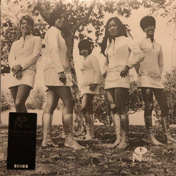 FEMALE SPECIES - TALE OF MY LOST LOVE