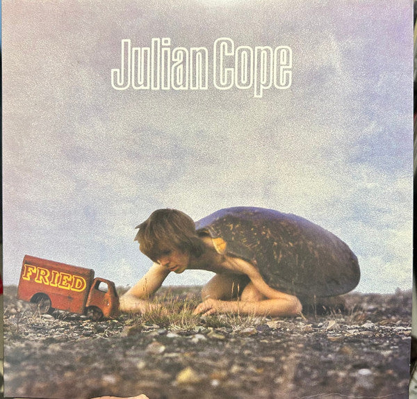 COPE,JULIAN - FRIED
