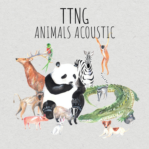 TTNG - ANIMALS ACOUSTIC