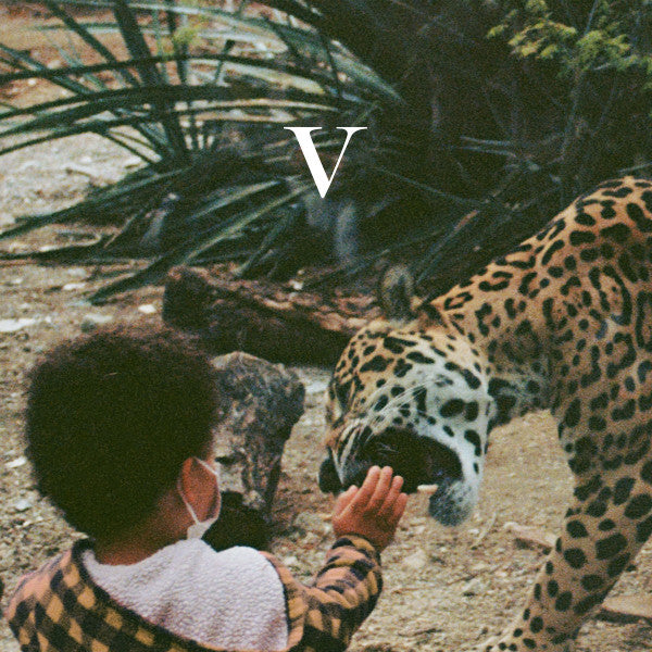UNKNOWN MORTAL ORCHESTRA - V