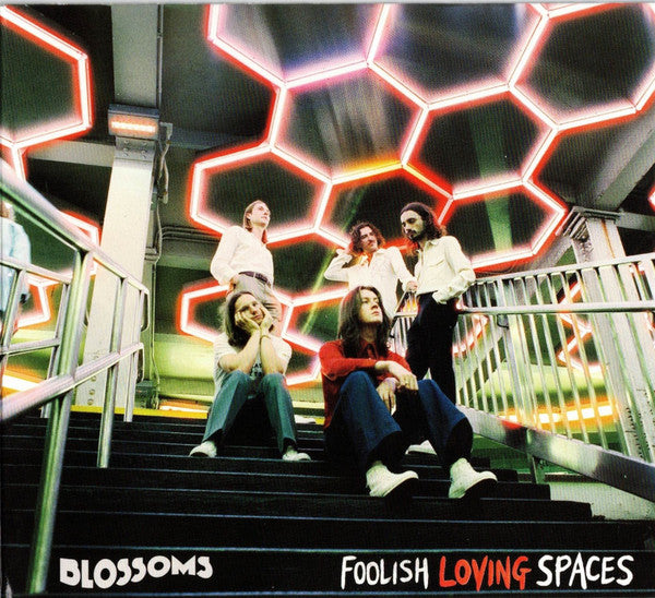 BLOSSOMS - FOOLISH LOVING SPACES