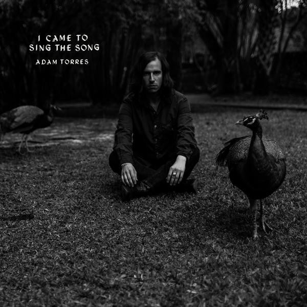 TORRES,ADAM - I CAME TO SING THE SONG