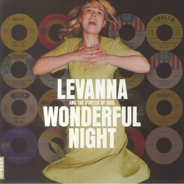 VARIOUS ARTISTS - WONDERFUL NIGHT