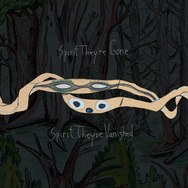 ANIMAL COLLECTIVE - SPIRIT THEY'RE GONE, SPIRIT THEY'VE VANISHED (DELUXE EDITION/2CD)
