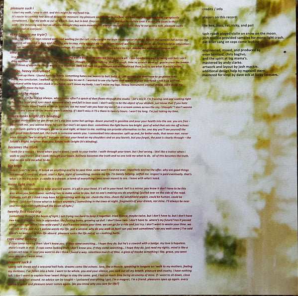SPIRIT OF THE BEEHIVE - PLEASURE SUCK (TRANSPARENT ORANGE VINYL)