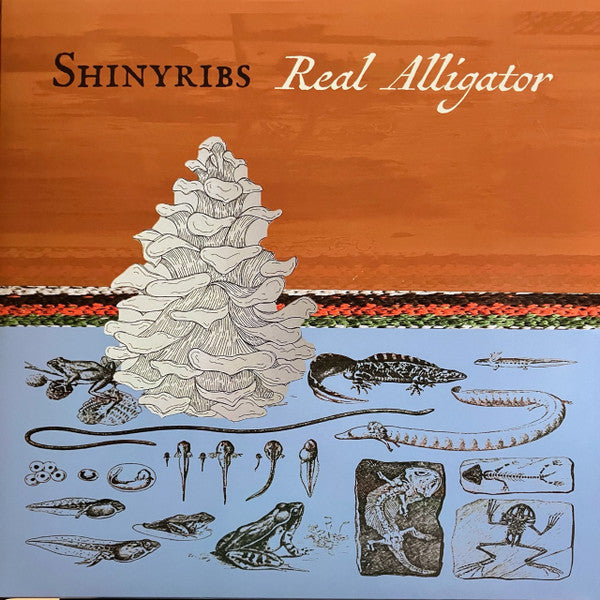 SHINYRIBS - REAL ALLIGATOR (180G)