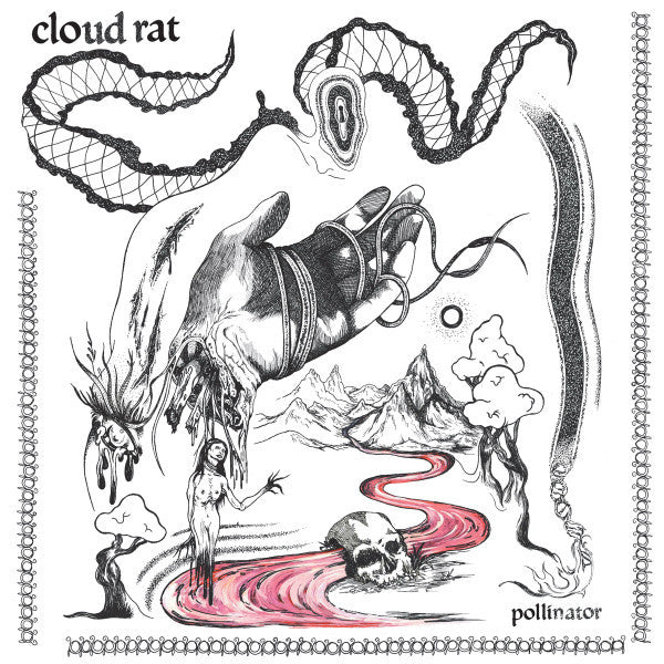 CLOUD RAT - POLLINATOR