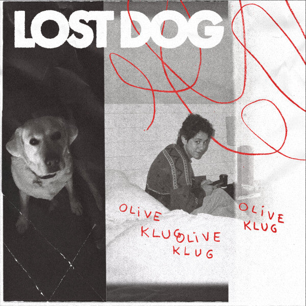 KLUG,OLIVE - LOST DOG