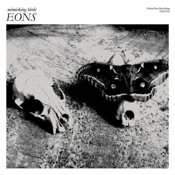 MIMICKING BIRDS - EONS