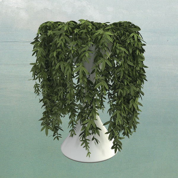 ERRORS - LEASE OF LIFE