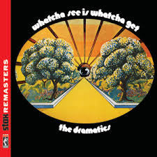 DRAMATICS - WHATCHA SEE IS WHATCHA GET