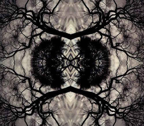 RUDOLPH,ADAM - SONIC MANDALA GO: ORGANIC ORCHESTRA