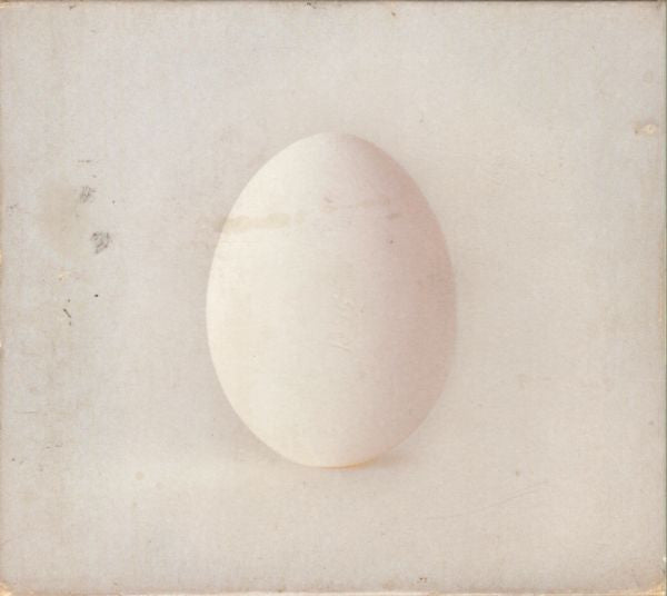 WILCO - GHOST IS BORN