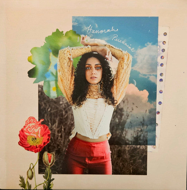 HANORAH - PERENNIAL