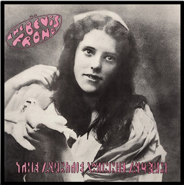 BEVIS FROND - AUNTIE WINNIE ALBUM
