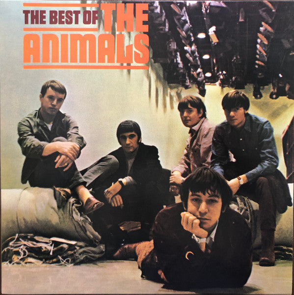 ANIMALS - BEST OF THE ANIMALS