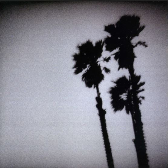 TWILIGHT SINGERS - BLACKBERRY BELLE