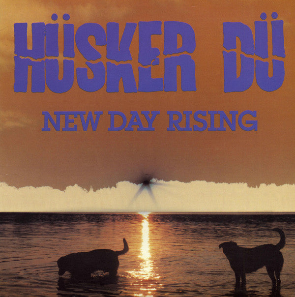HUSKER DU - NEW DAY RISING