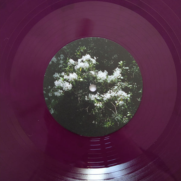 THEY MIGHT BE GIANTS - MY MURDERED REMAINS (DELUXE EDITION/180G/TRANSLUCENT ELDERBERRY VINYL/2LP)