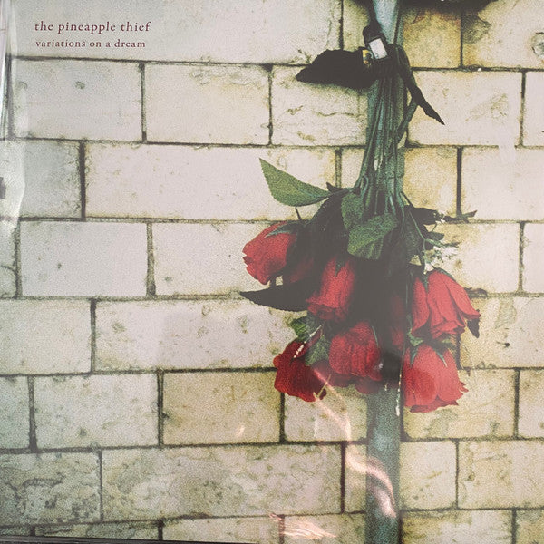 PINEAPPLE THIEF - VARIATIONS ON A DREAM
