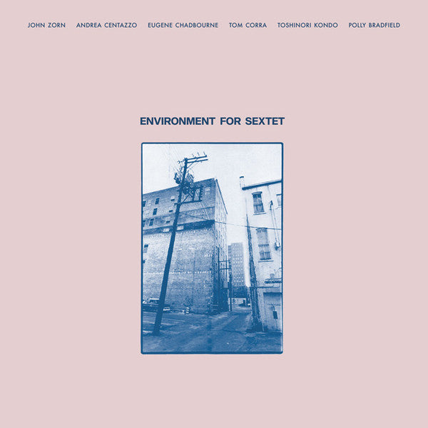 ZORN JOHN; ANDREA CENTAZZO; EUGENE CHADBOURNE; TOM CORRA; TOSHINORI KONDO; POLLY BRADFIELD - ENVIRONMENT FOR SEXTET