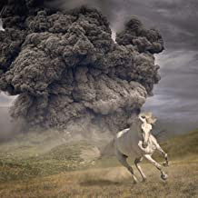 WHITE BUFFALO - YEAR OF THE DARK HORSE