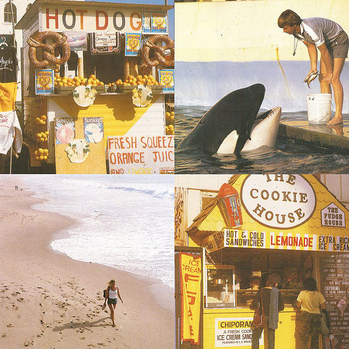 BEST COAST - SOMETHING IN THE WAY