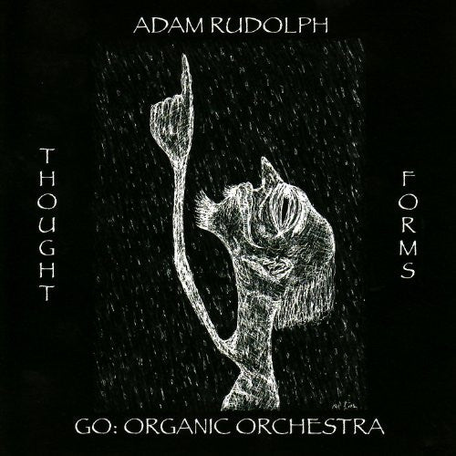 RUDOLPH,ADAM - THOUGHT FORMS-GO: ORGANIC ORCHESTRA