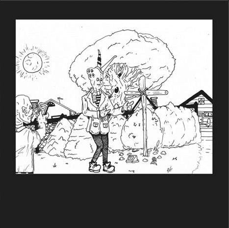 TEEN SUICIDE - IT'S THE BIG JOYOUS CELEBRATION, LET'S STIR THE HONEYPOT (2LP/BOOK/RED/CLEAR & GOLD/CLEAR VINYL)