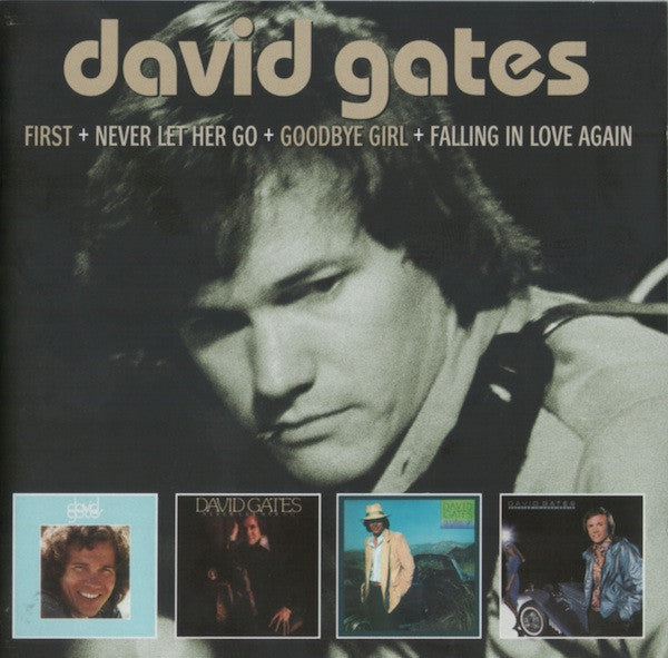 GATES,DAVID - FIRST / NEVER LET HER GO / GOODBYE GIRL / FALLING IN LOVE AGAIN (2CD)