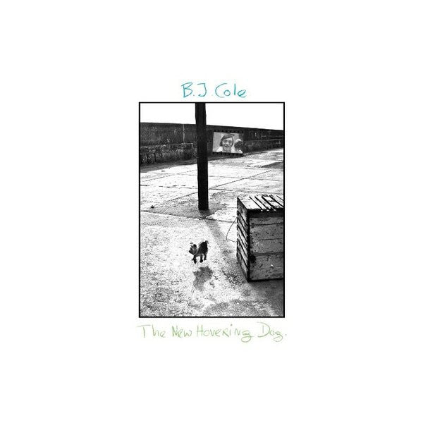 COLE,BJ - NEW HOVERING DOG