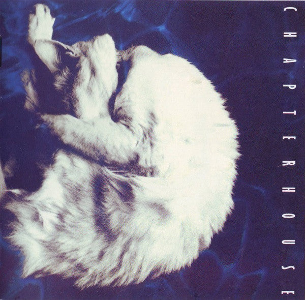 CHAPTERHOUSE - WHIRLPOOL