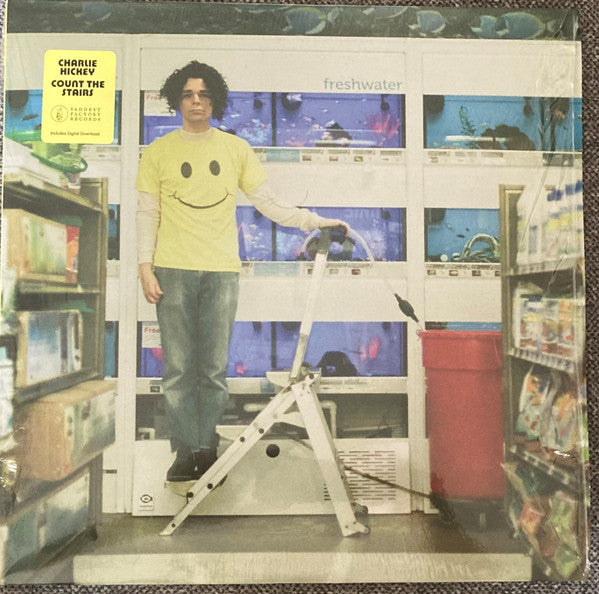 HICKEY,CHARLIE - COUNT THE STAIRS