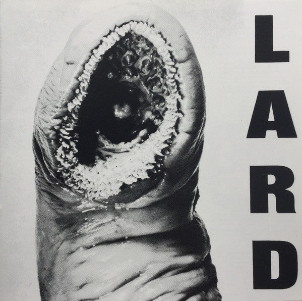 LARD - POWER OF LARD