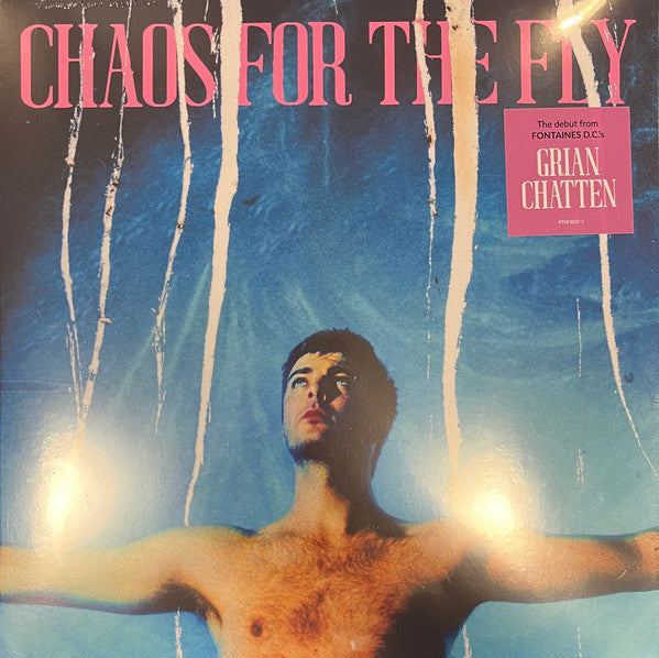CHATTEN,GRIAN - CHAOS FOR THE FLY